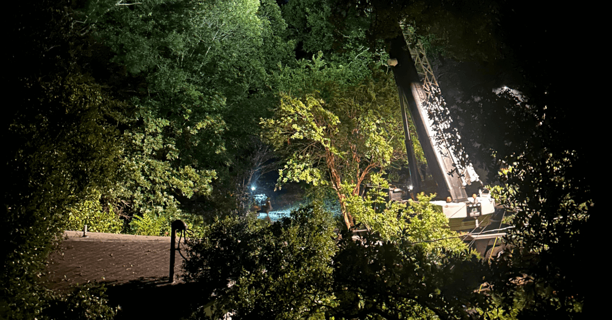 Tree Service in Milton, FL | Certified Tree Care & Removal