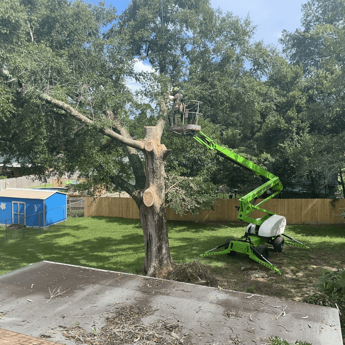 Tree removal service in Pensacola, FL with a focus on removal costs