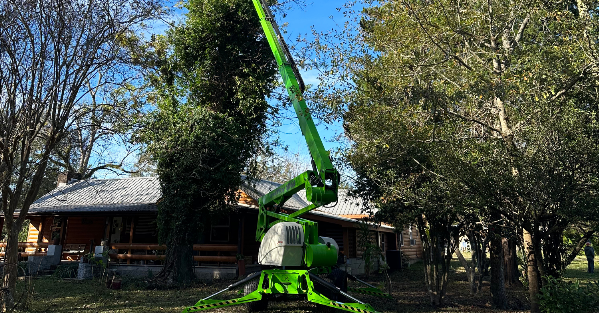 Tree Trimming & Tree Pruning in Northwest Florida | D’s Trees