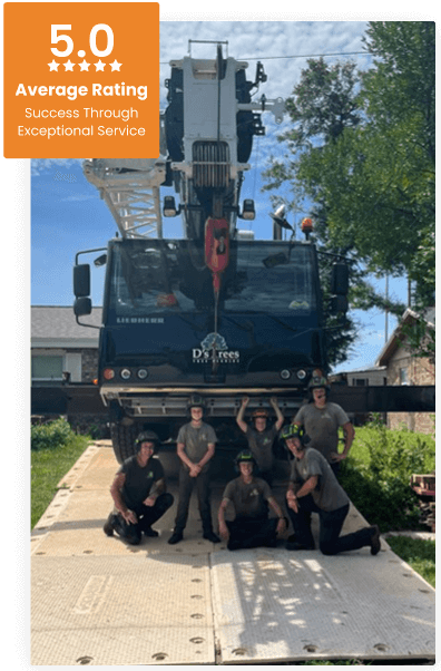 Commercial Tree Service