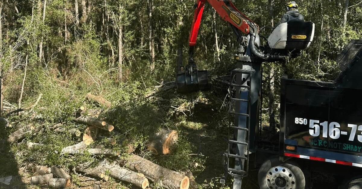 tree removal in Pensacola, FL